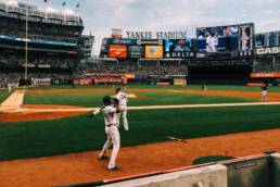 Yankee Stadium New York