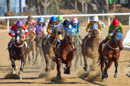 Colourful jockey jerseys whilst horse racing in South Korea